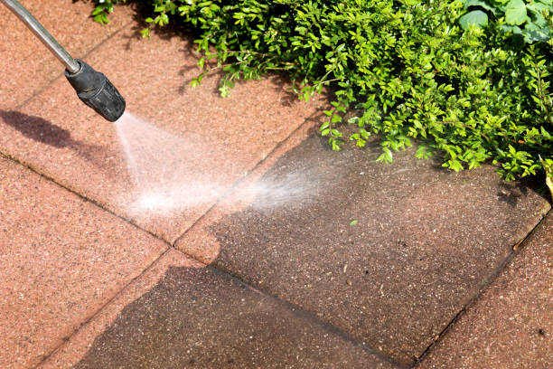Best Best Pressure Washing Companies  in Elkhart Lake, WI